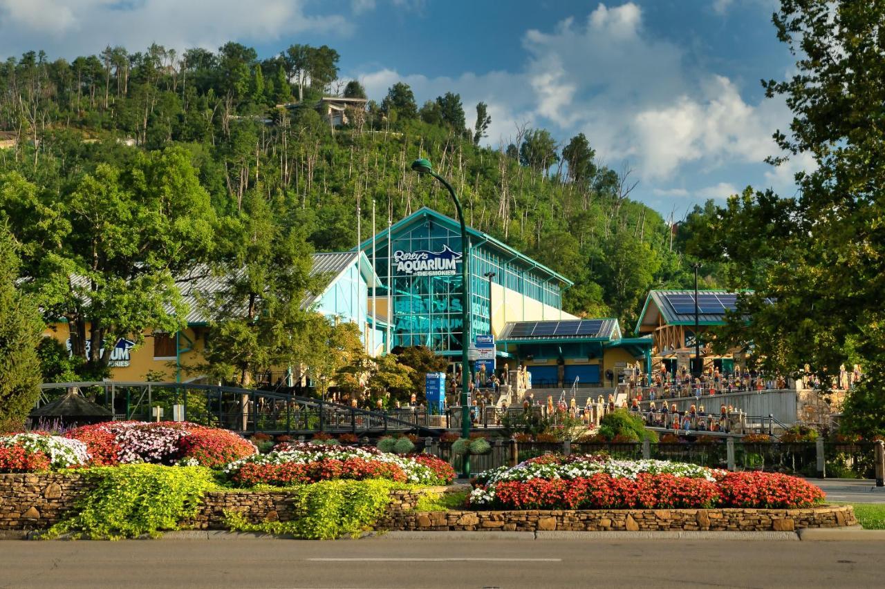 Lazy Bear Den Villa Sevierville Exterior photo